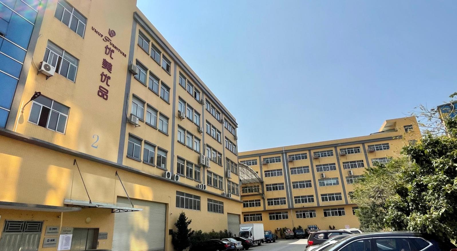 2019 年发展历程图片